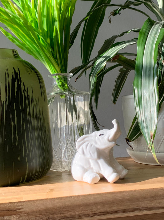 Petit éléphant blanc