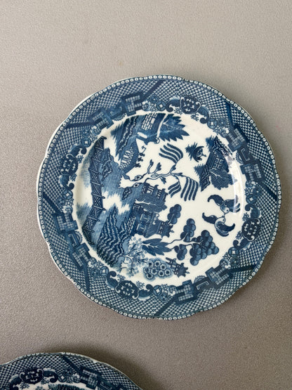 SERVICE 9 ASSIETTES VINTAGE | MOTIF SAULE BLEU