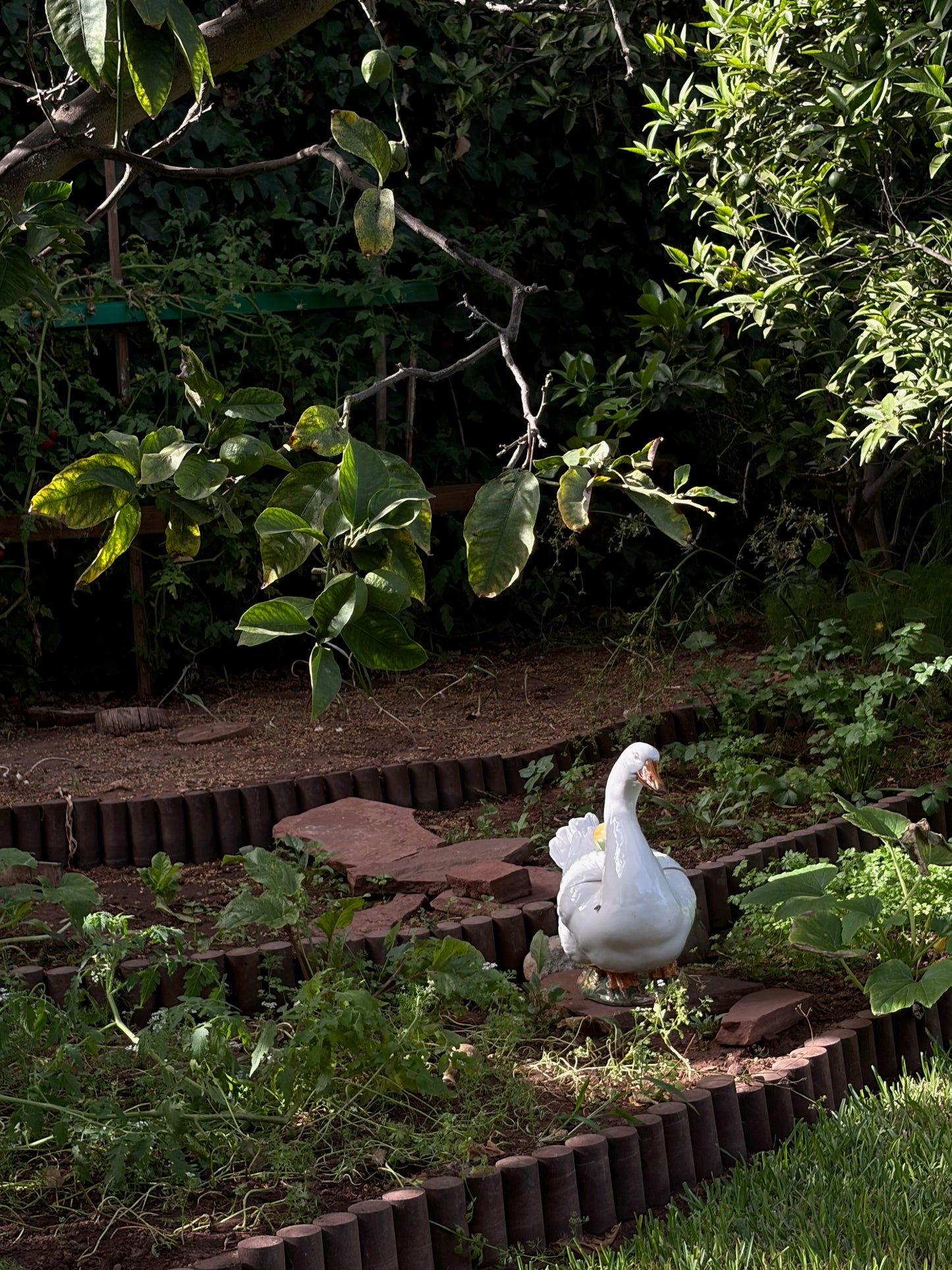 GRANDE OIE EN CÉRAMIQUE VINTAGE 🦢🍋