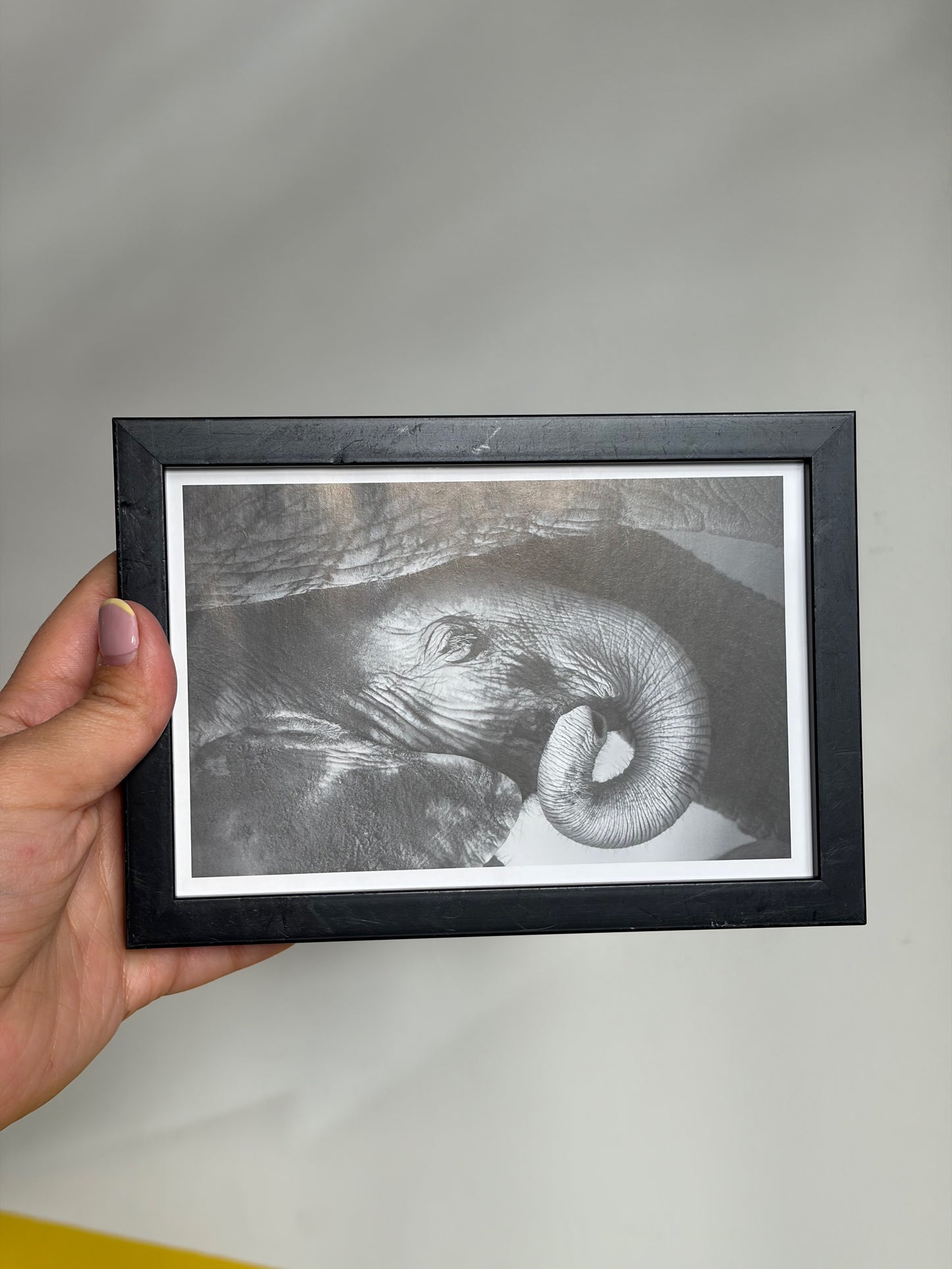 PHOTO ENCADRÉE ÉLÉPHANT N&B | CADRE NOIR