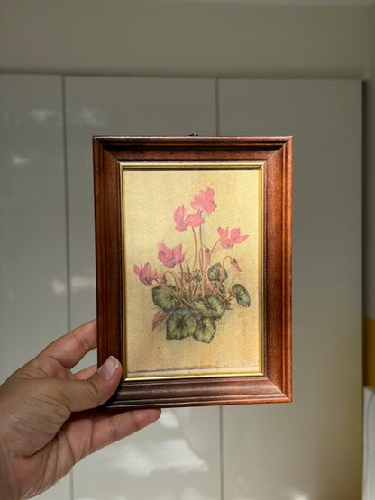 CADRE CYCLAMEN ROSE 🌸